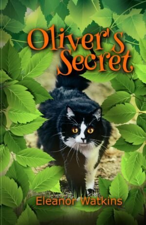Oliver's Secret by Eleanor Watkins, Josh Williams