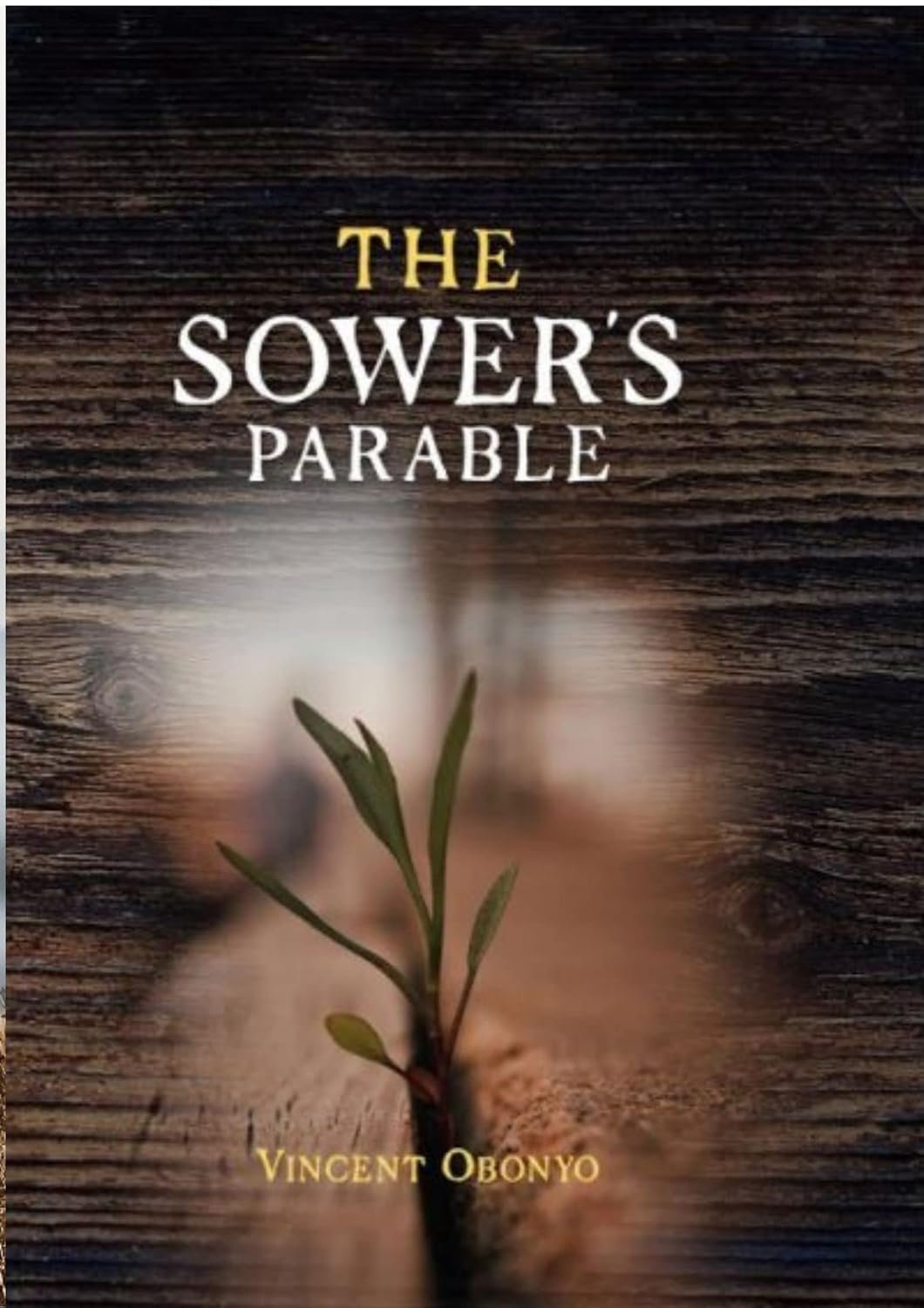 The Sower’s Parable by Vincent Obonyo